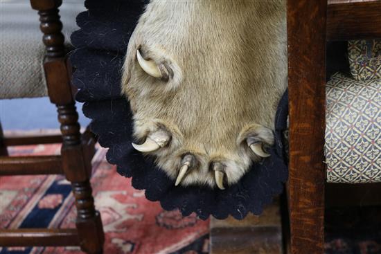 A tiger skin rug, complete with head and claws